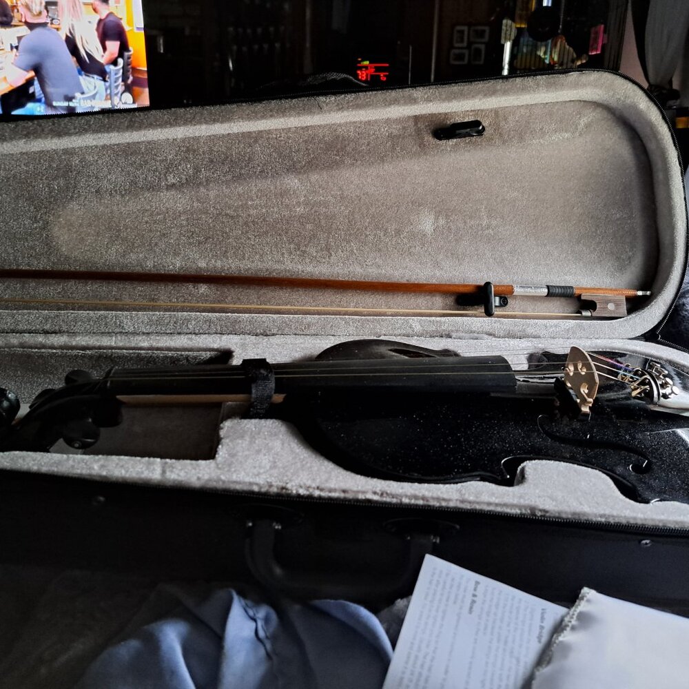 Violin